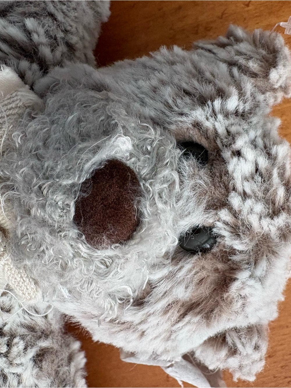 Demdaco Giving Collection Bear, Lovable, Huggable, Always In My Heart, Brand New